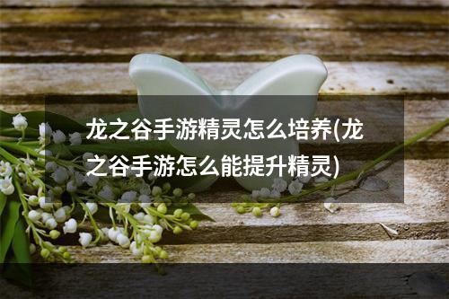 龙之谷手游精灵怎么培养(龙之谷手游怎么能提升精灵)