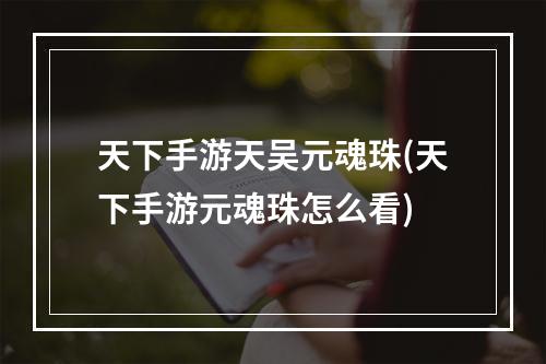 天下手游天吴元魂珠(天下手游元魂珠怎么看)