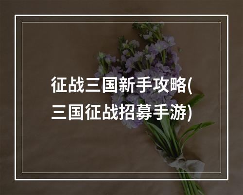 征战三国新手攻略(三国征战招募手游)