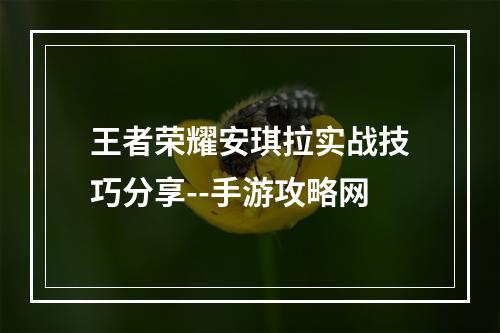 王者荣耀安琪拉实战技巧分享--手游攻略网