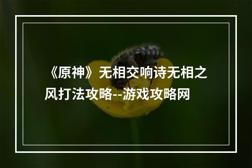 《原神》无相交响诗无相之风打法攻略--游戏攻略网