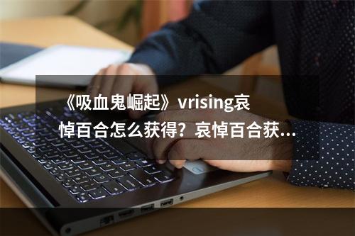 《吸血鬼崛起》vrising哀悼百合怎么获得？哀悼百合获取方法--游戏攻略网