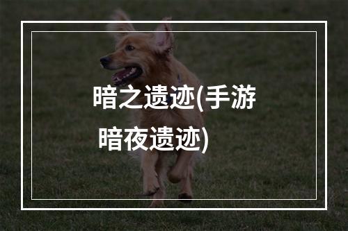 暗之遗迹(手游 暗夜遗迹)