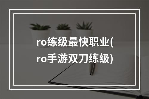 ro练级最快职业(ro手游双刀练级)