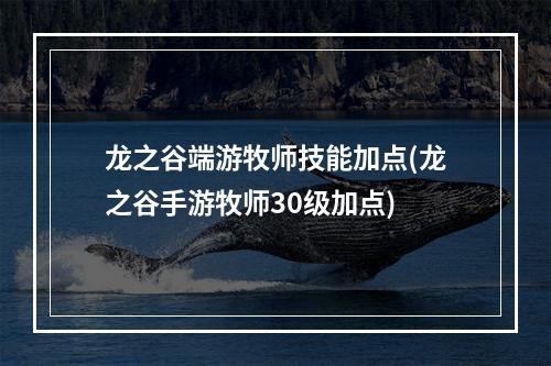 龙之谷端游牧师技能加点(龙之谷手游牧师30级加点)