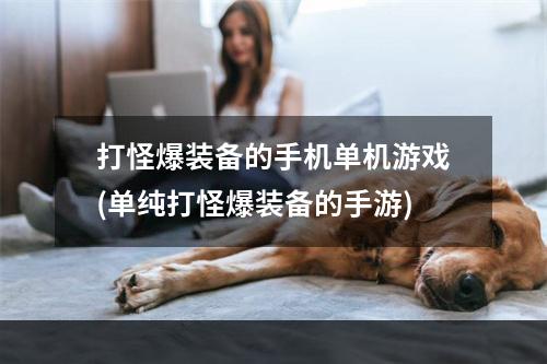 打怪爆装备的手机单机游戏(单纯打怪爆装备的手游)