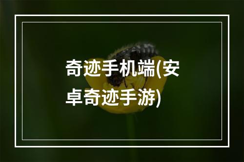 奇迹手机端(安卓奇迹手游)