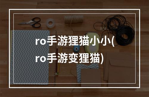 ro手游狸猫小小(ro手游变狸猫)