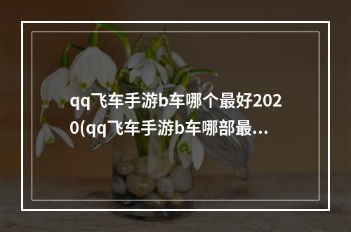 qq飞车手游b车哪个最好2020(qq飞车手游b车哪部最好看)