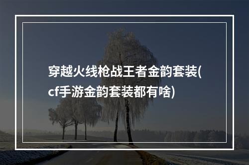 穿越火线枪战王者金韵套装(cf手游金韵套装都有啥)