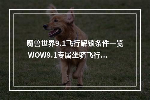 魔兽世界9.1飞行解锁条件一览 WOW9.1专属坐骑飞行解锁条件介绍--游戏攻略网