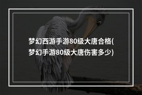 梦幻西游手游80级大唐合格(梦幻手游80级大唐伤害多少)