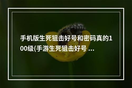 手机版生死狙击好号和密码真的100级(手游生死狙击好号 真的)