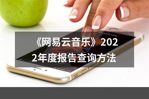 《网易云音乐》2022年度报告查询方法