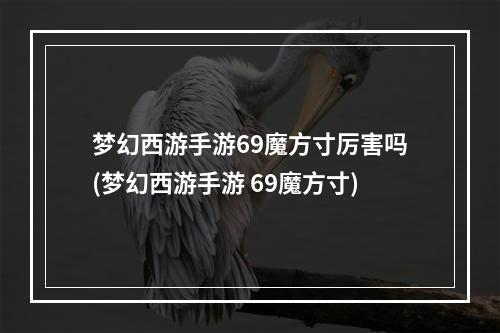 梦幻西游手游69魔方寸厉害吗(梦幻西游手游 69魔方寸)