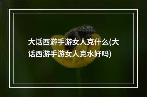 大话西游手游女人克什么(大话西游手游女人克水好吗)