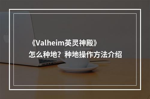 《Valheim英灵神殿》怎么种地？种地操作方法介绍