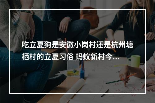 吃立夏狗是安徽小岗村还是杭州塘栖村的立夏习俗 蚂蚁新村今日答案最新5.6