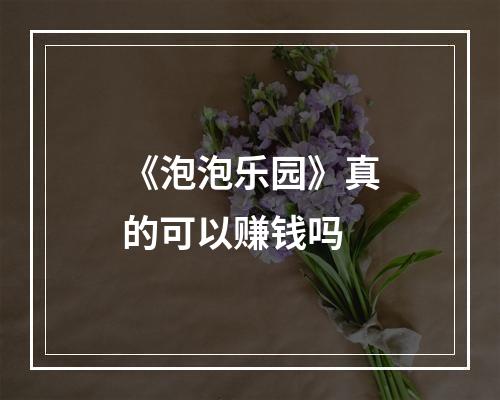 《泡泡乐园》真的可以赚钱吗