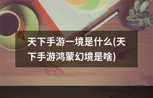 天下手游一境是什么(天下手游鸿蒙幻境是啥)