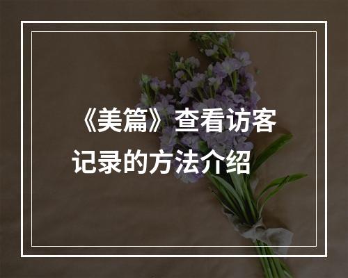 《美篇》查看访客记录的方法介绍