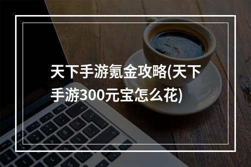 天下手游氪金攻略(天下手游300元宝怎么花)