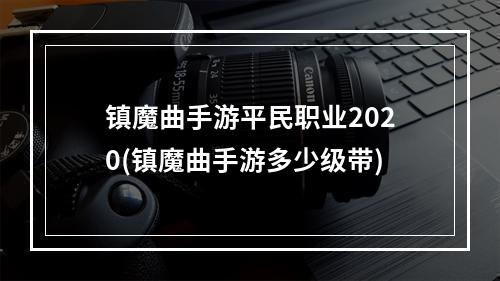 镇魔曲手游平民职业2020(镇魔曲手游多少级带)