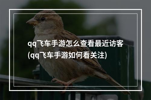 qq飞车手游怎么查看最近访客(qq飞车手游如何看关注)