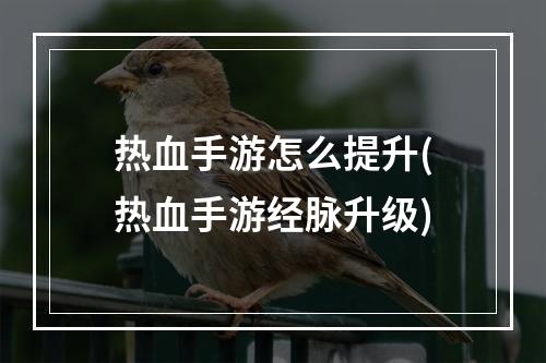 热血手游怎么提升(热血手游经脉升级)