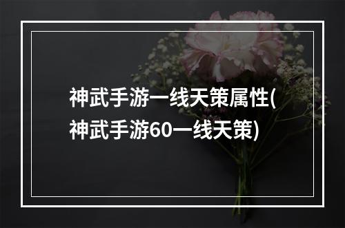 神武手游一线天策属性(神武手游60一线天策)