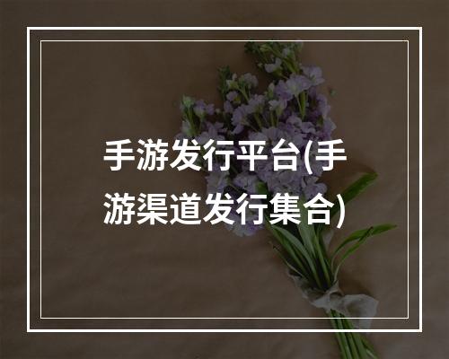 手游发行平台(手游渠道发行集合)