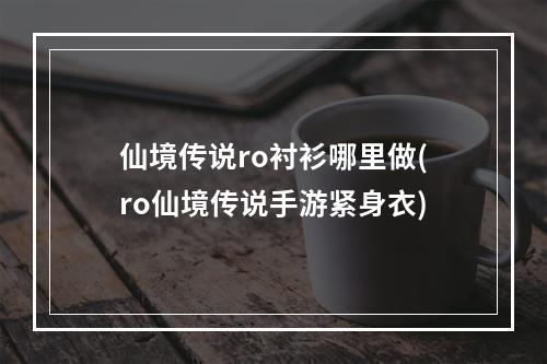 仙境传说ro衬衫哪里做(ro仙境传说手游紧身衣)