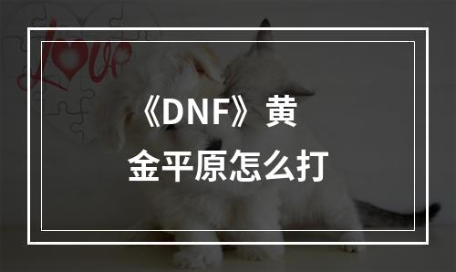 《DNF》黄金平原怎么打