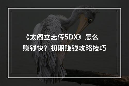 《太阁立志传5DX》怎么赚钱快？初期赚钱攻略技巧