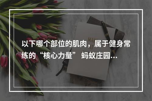 以下哪个部位的肌肉，属于健身常练的“核心力量” 蚂蚁庄园今日答案早知道5月19日