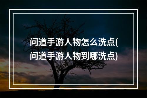 问道手游人物怎么洗点(问道手游人物到哪洗点)