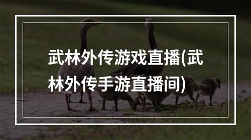 武林外传游戏直播(武林外传手游直播间)