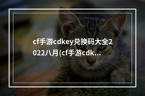 cf手游cdkey兑换码大全2022八月(cf手游cdkey免费兑换码)