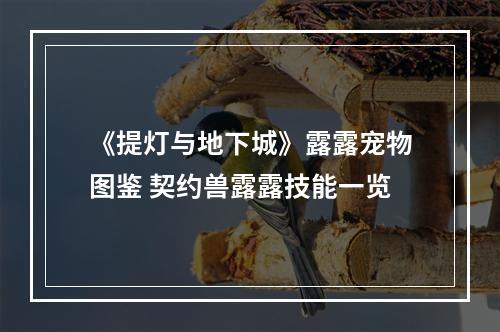 《提灯与地下城》露露宠物图鉴 契约兽露露技能一览