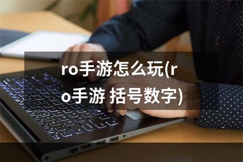 ro手游怎么玩(ro手游 括号数字)