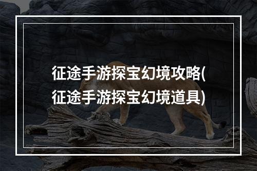 征途手游探宝幻境攻略(征途手游探宝幻境道具)