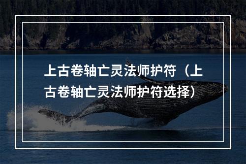 上古卷轴亡灵法师护符（上古卷轴亡灵法师护符选择）