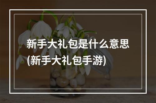 新手大礼包是什么意思(新手大礼包手游)