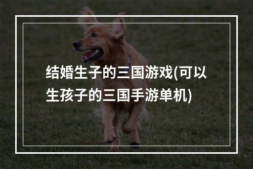 结婚生子的三国游戏(可以生孩子的三国手游单机)