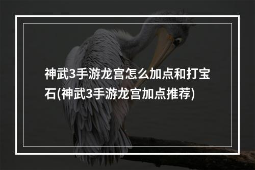 神武3手游龙宫怎么加点和打宝石(神武3手游龙宫加点推荐)