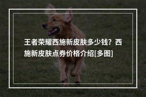 王者荣耀西施新皮肤多少钱？西施新皮肤点券价格介绍[多图]