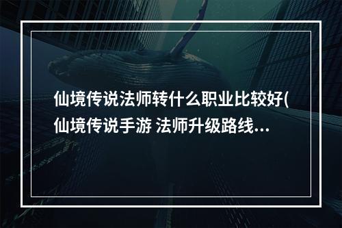 仙境传说法师转什么职业比较好(仙境传说手游 法师升级路线)