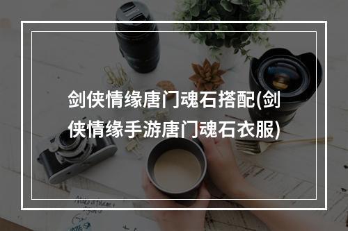 剑侠情缘唐门魂石搭配(剑侠情缘手游唐门魂石衣服)