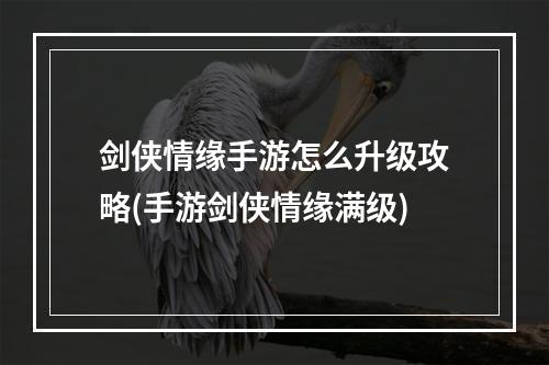 剑侠情缘手游怎么升级攻略(手游剑侠情缘满级)