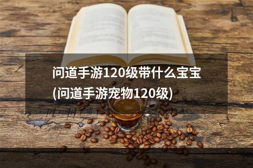 问道手游120级带什么宝宝(问道手游宠物120级)